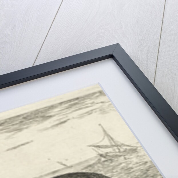 Two turtles on the beach by Albert Flamen