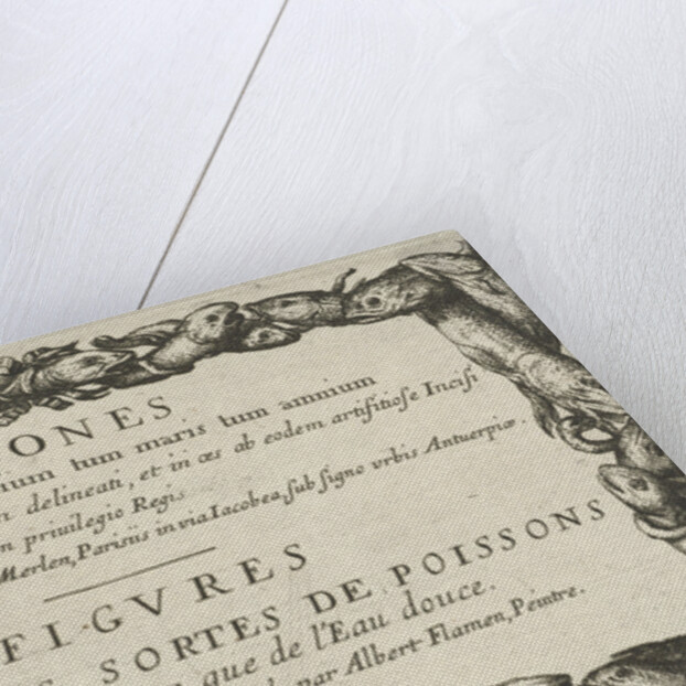 Cartouche with edge of fish by Albert Flamen