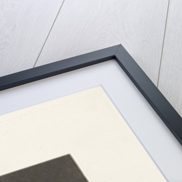 Portrait of a woman with pearl earrings by Dubois