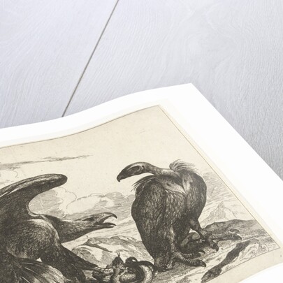 Vulture and an eagle with snake by De Poilly