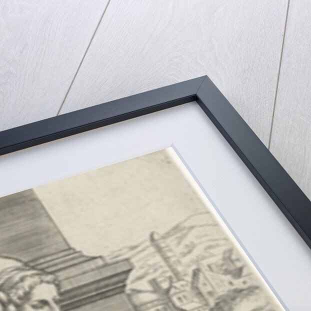 Delphic Sibyl by Frans Huys