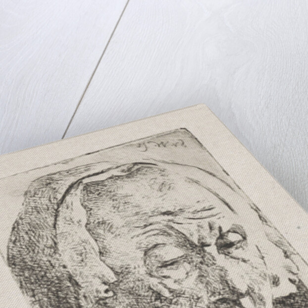 Old woman with hat by Salomon van Witsen