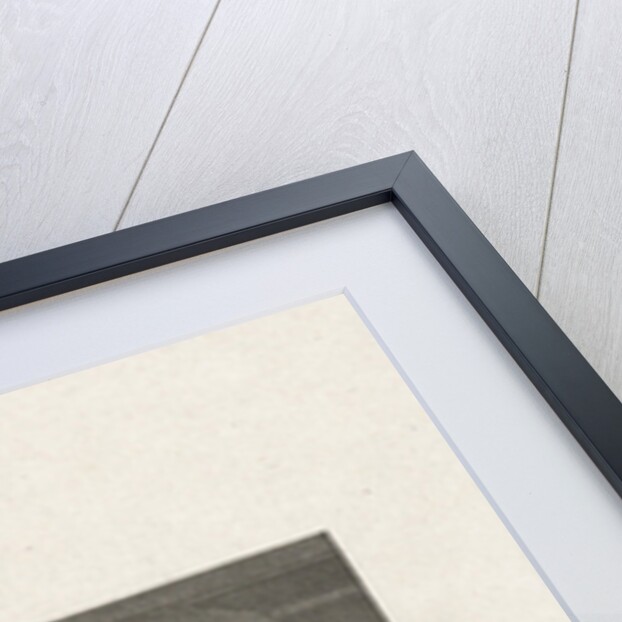 Twelfth Night by Elisabeth Barbara Schmetterling