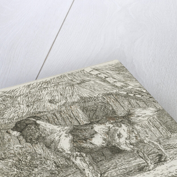 A dog by Jan Dasveldt