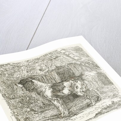 A dog by Jan Dasveldt