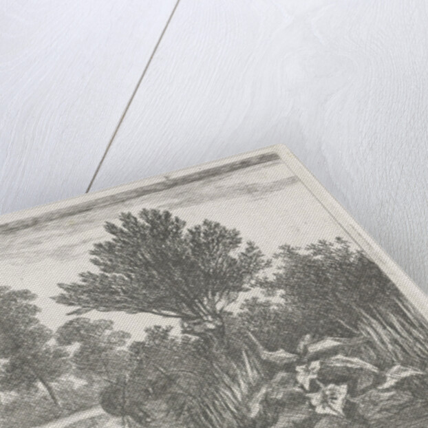 Ducks in a ditch by Hermanus Jan Hendrik van Rijkelijkhuysen