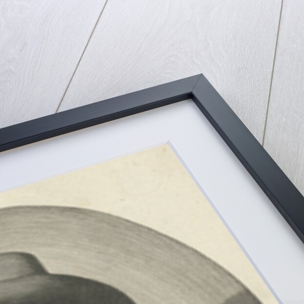 Portrait of Sybrand Camaij by Reinier van Persijn