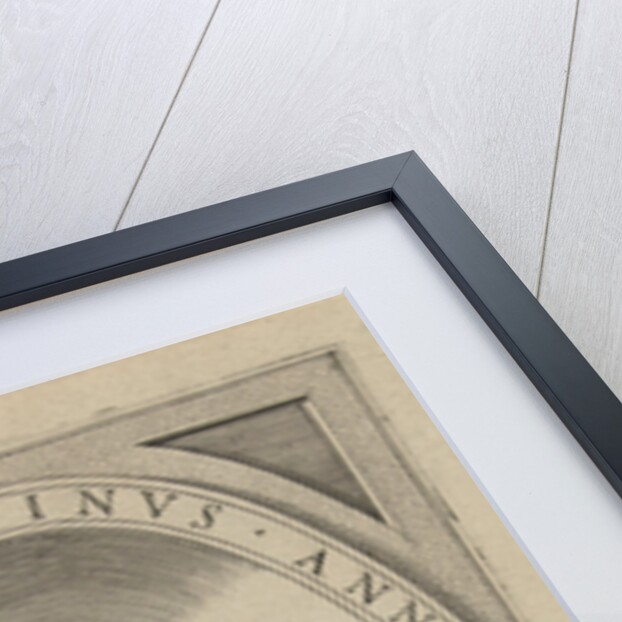 Portrait of Pietro Vettori by Hugo Blotius