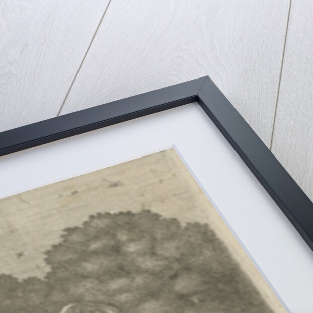 Tobias and the Angel in a river by Anonymous