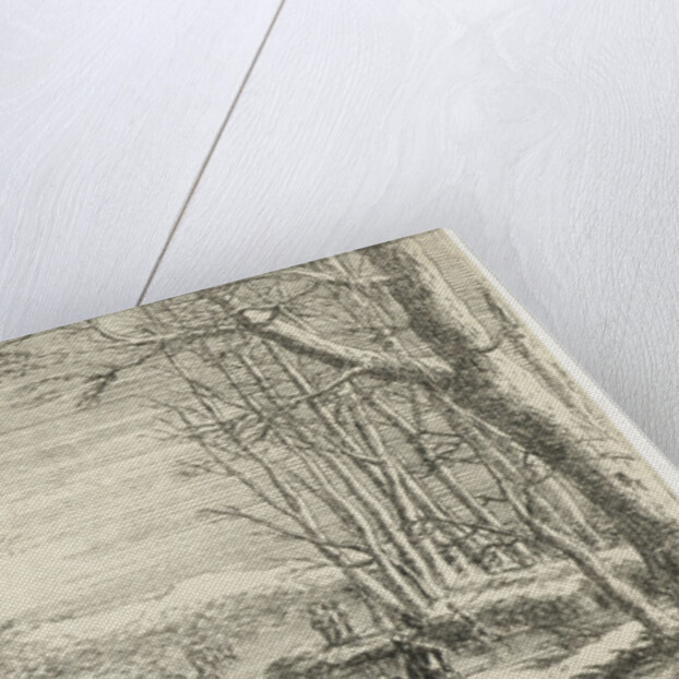 Frozen river with skaters by Pierre Drevet