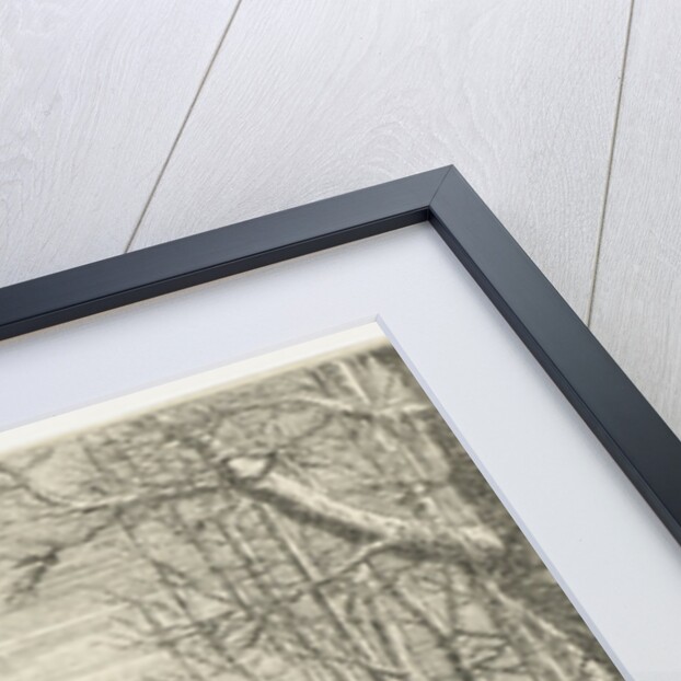 Frozen river with skaters by Pierre Drevet