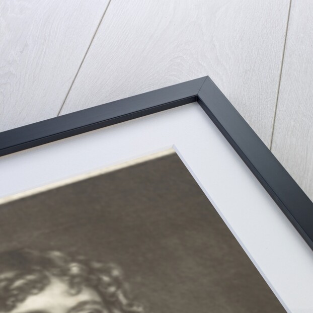 Portrait of J. Heermans or Pieter Harman by Bernard Vaillant