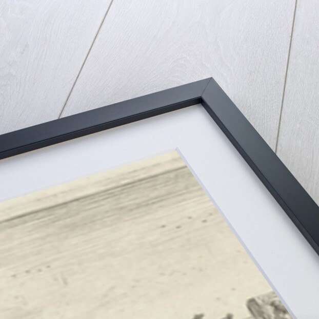 Whale stranded in Noordwijk, The Netherlands 1629 by Anonymous