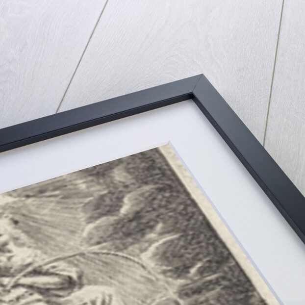 Allegory of the Hebrew Bible by Joannes Maire