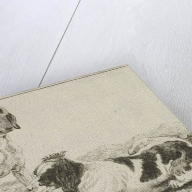 Two resting dogs by Jan van den Hecke I