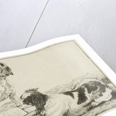 Two resting dogs by Jan van den Hecke I