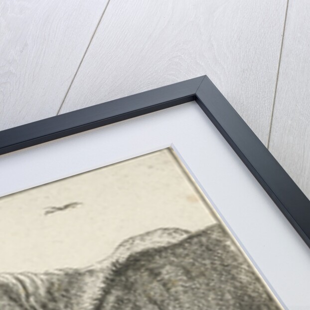 Animals at a fountain by Jan van den Hecke I