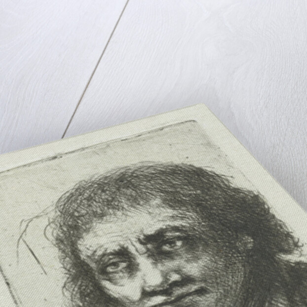 Adult male by Jan Chalon