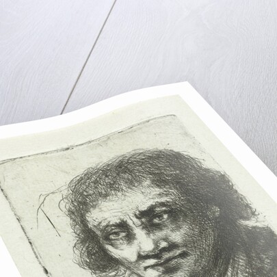 Adult male by Jan Chalon