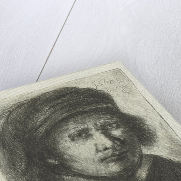 Adult male by Jan Chalon