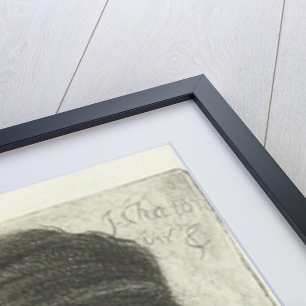 Adult male by Jan Chalon