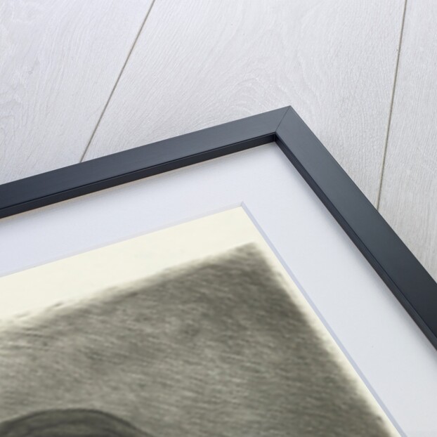 Woman Reading by Jan Chalon