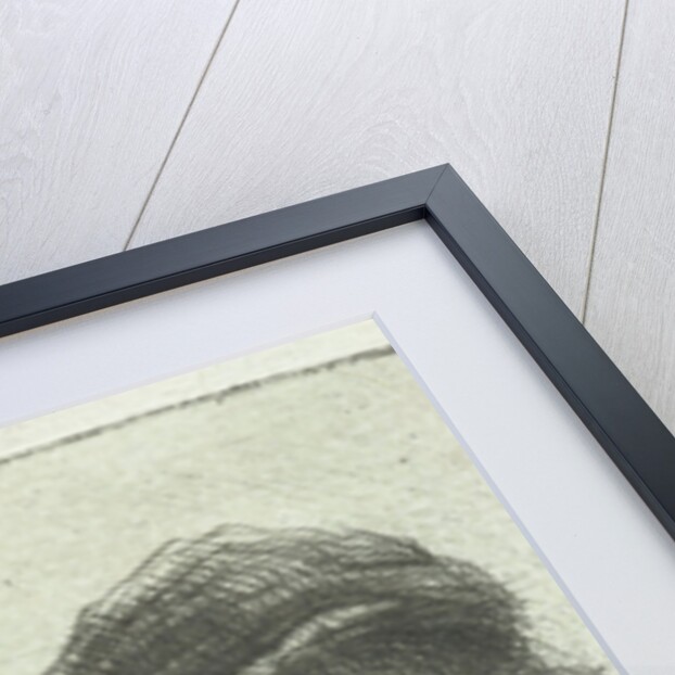 Young man by Jan Chalon