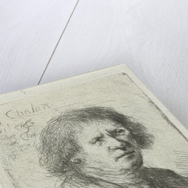 Adult male by Jan Chalon