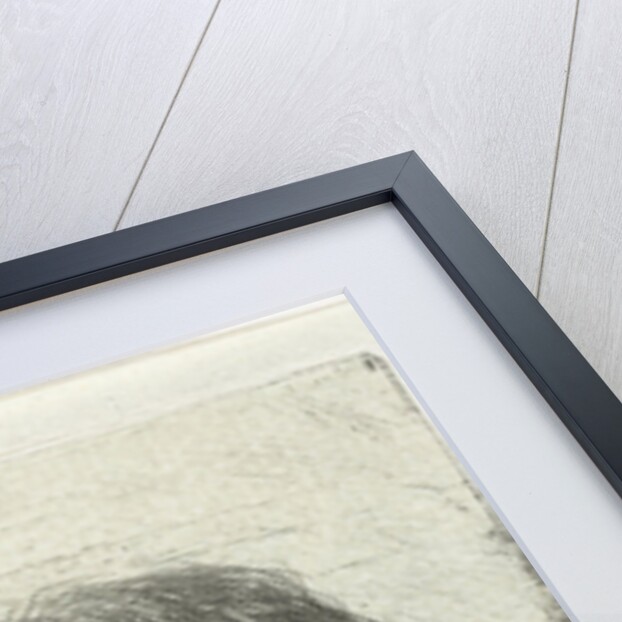 Adult male by Jan Chalon