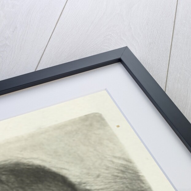 Old man by Jan Chalon