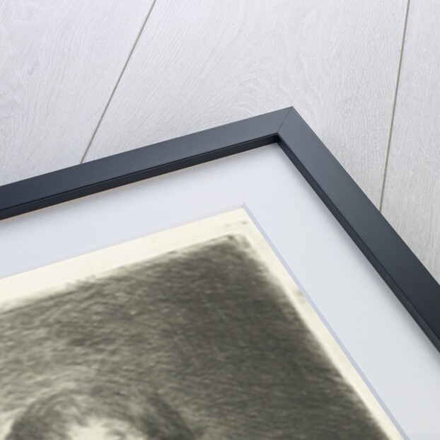 Seated Man by Jan Chalon