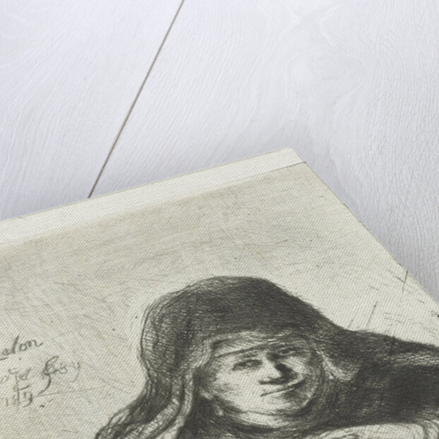 Old woman over a stove by Jan Chalon