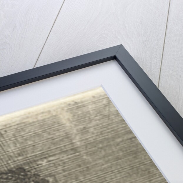 Woman Reading by Willem Basse