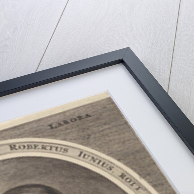 Portrait of Robert Junius by Arnoldus Montanus