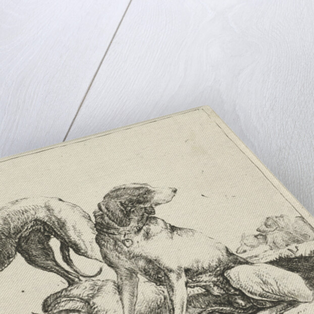 Three dogs by Pauwels van Hillegaert