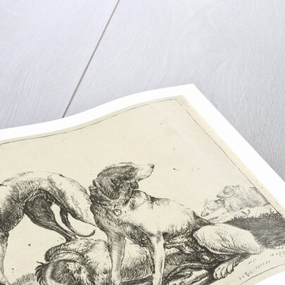 Three dogs by Pauwels van Hillegaert