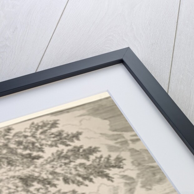 Waterfall with stump by Anonymous