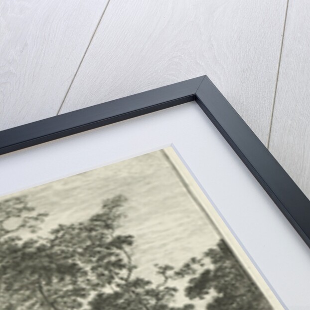 At the edge of The Hague Forest by Roelant Roghman