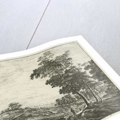 At the edge of The Hague Forest by Roelant Roghman