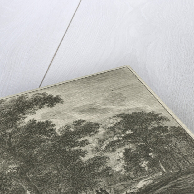 Forest trail in the Hague Forest by Nicolaes Visscher I