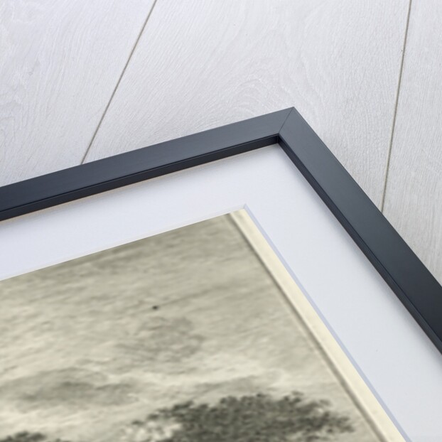 Forest trail in the Hague Forest by Nicolaes Visscher I