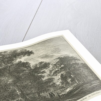 Forest trail in the Hague Forest by Nicolaes Visscher I