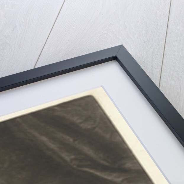 Sater spy a sleeping nymph by Caspar Netscher