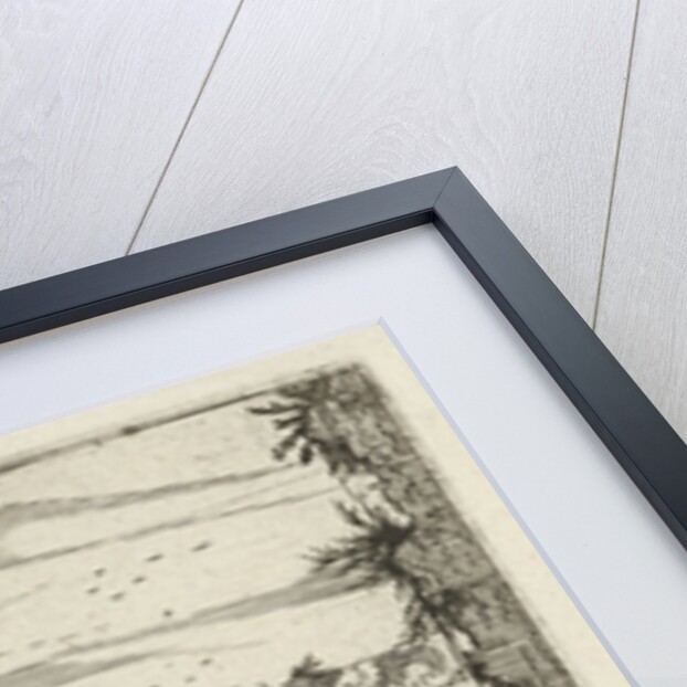 Temple of Castor and Pollux and the Basilica of Constantine by Anonymous