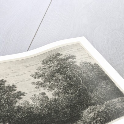 Beek by F. Segers Bouwens