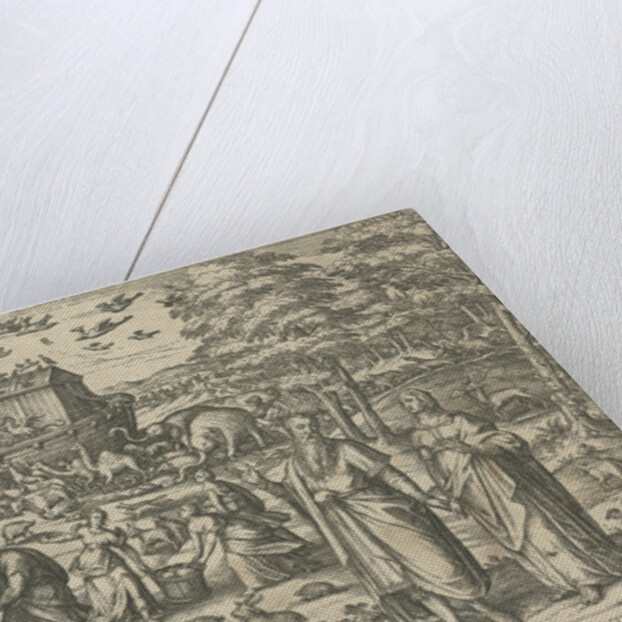 Noah's Ark by Symon Novelanus