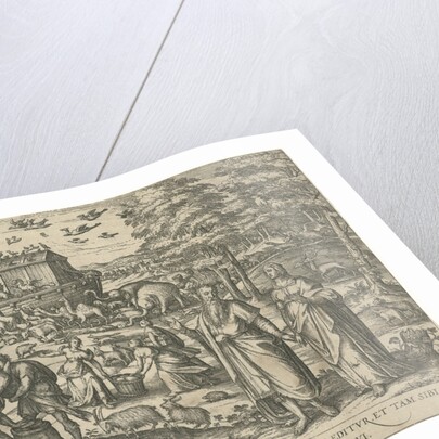 Noah's Ark by Symon Novelanus