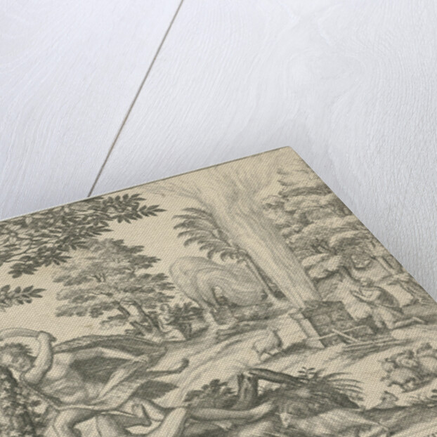 Cain and Abel by Symon Novelanus