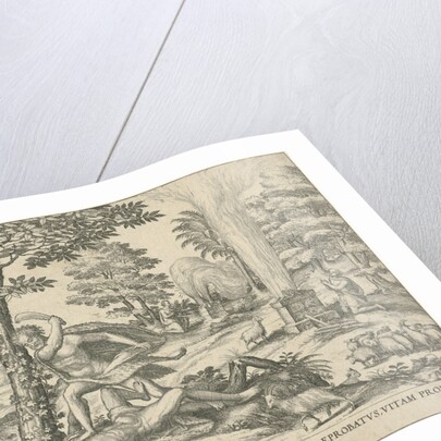 Cain and Abel by Symon Novelanus