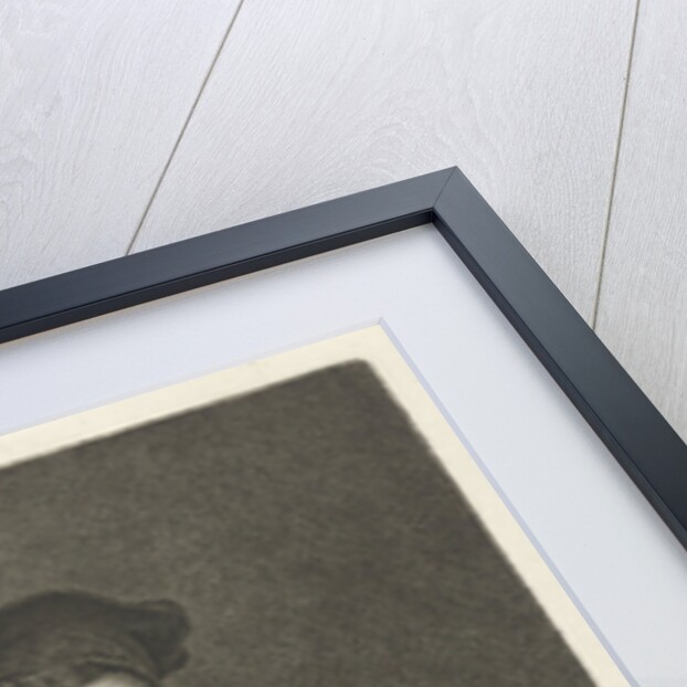 Portrait of an unknown old man in a chair by Philips Koninck